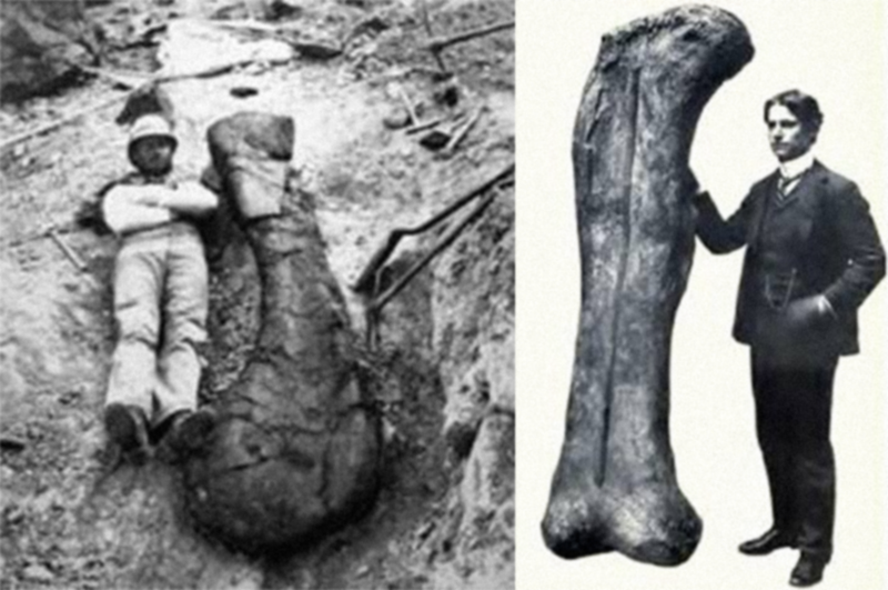 Illustration for article titled Paleontologists lying near giant dinosaur bones